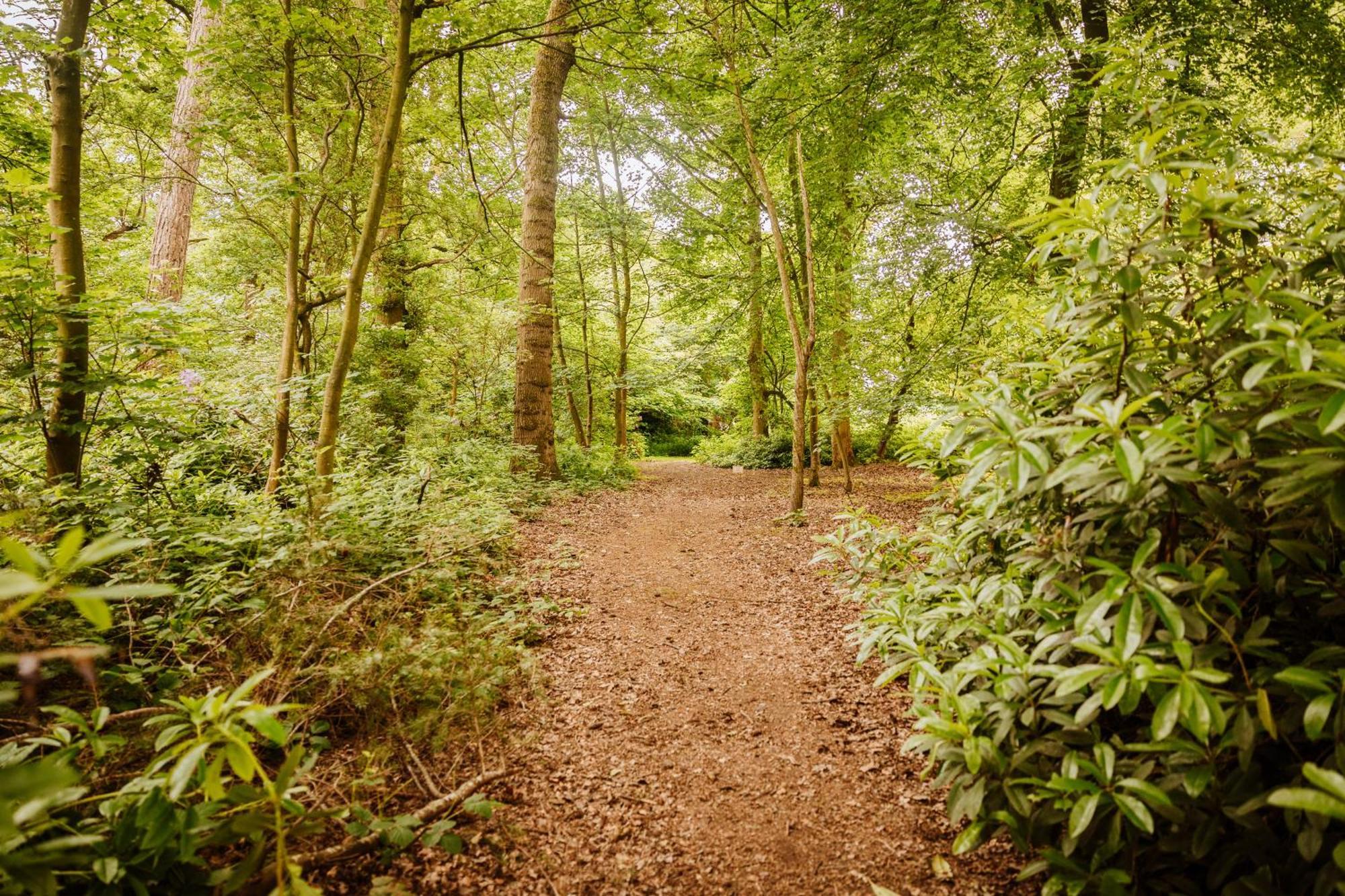 Tedsmore Apartments Oswestry Dış mekan fotoğraf